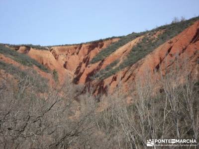 El Monasterio del Bonaval y el cañón del Jarama;viajes en agosto puente octubre senderismo cerca d